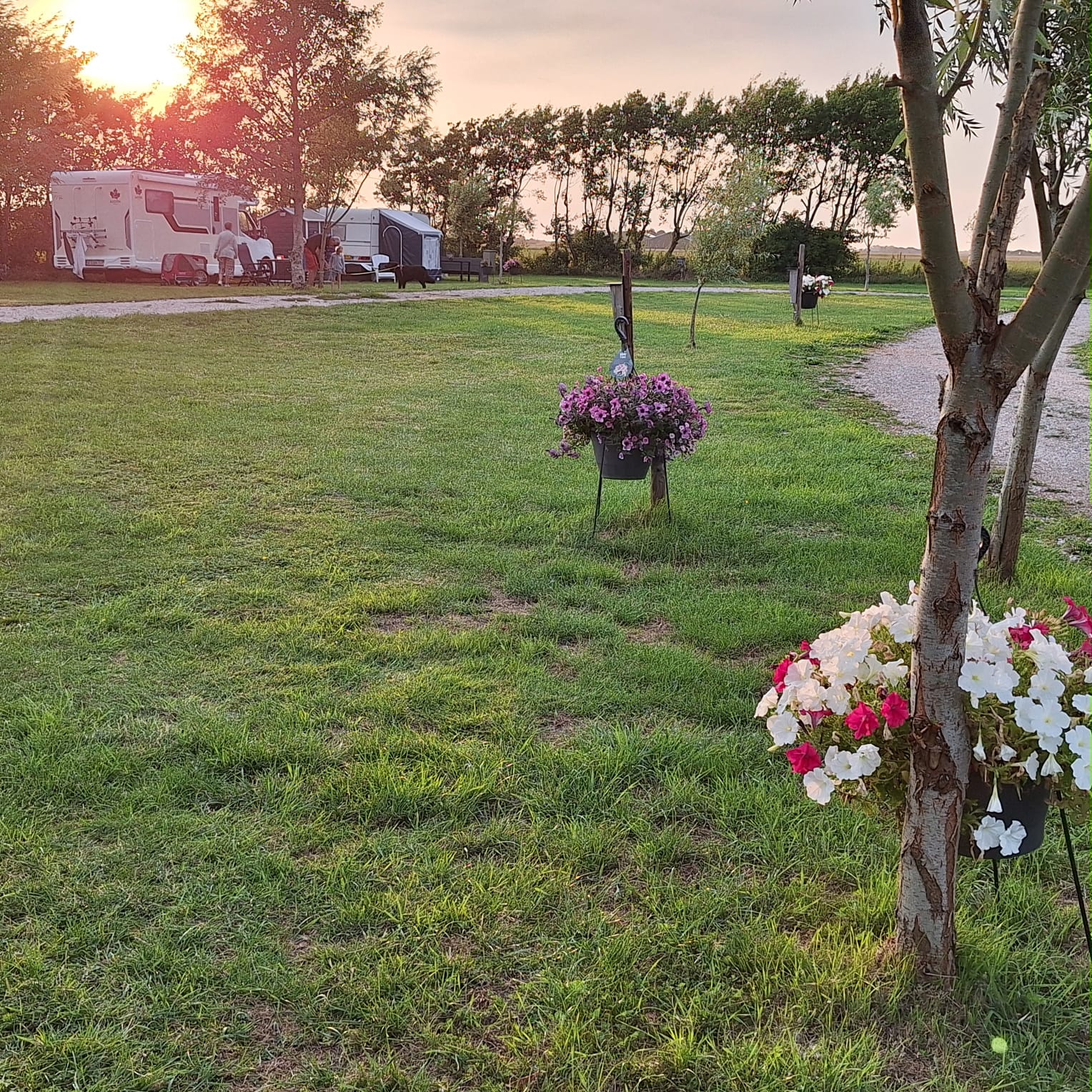 Campers op camping casita